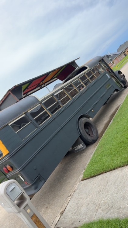 Stinger Kingdom (Party Bus)